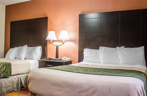 Ronkonkoma Hotel | Rodeway Inn Macarthur Airport