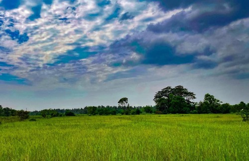 Nattandiya House | Rohans place