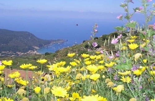Giglio Castello Apartment | Romantic Hideaway. Medieval Hilltop Village-Tuscan Island, Beaches only 10mins.