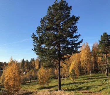 Strombacka Other | Romantic night in a dome tent lake view