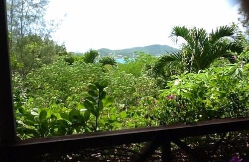 Falmouth Harbour Cottage | Romantic Tropical Hideaway - Birds & Bees Cottage