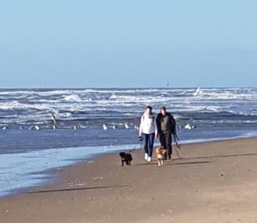 Municipality of Den Helder House | Romantisch Huisje nabij het strand met uitzicht op de tulpenvelden