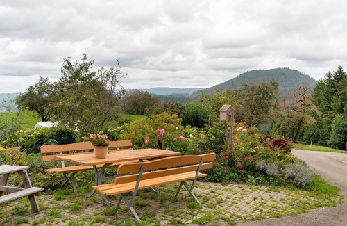 Bad Peterstal-Griesbach Apartment | Room 'Doppelzimmer 2' with Mountain View, Shared Terrace and Wi-Fi