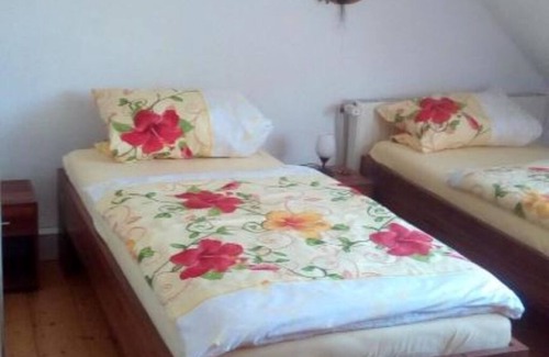 Daun House | Room rental Pargen (small twin room)