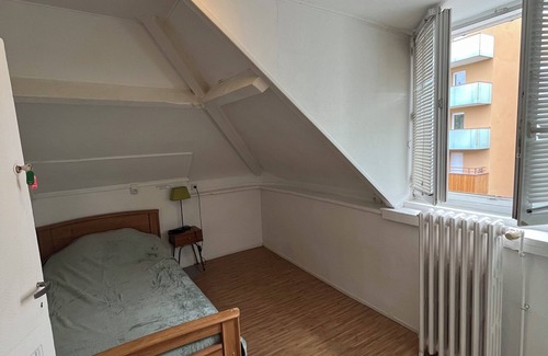 Le Petit-Quevilly Bed & Breakfast | Room with shower