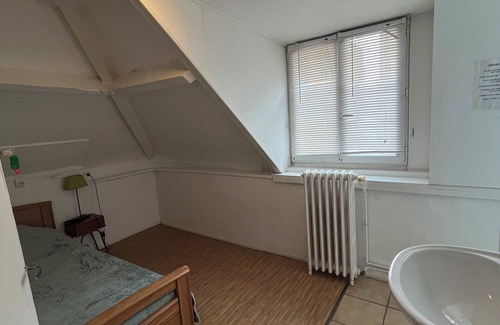 Le Petit-Quevilly Bed & Breakfast | Room with shower