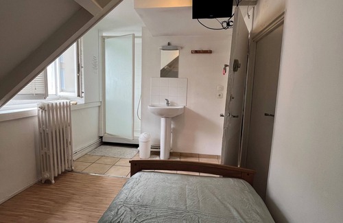 Le Petit-Quevilly Bed & Breakfast | Room with shower