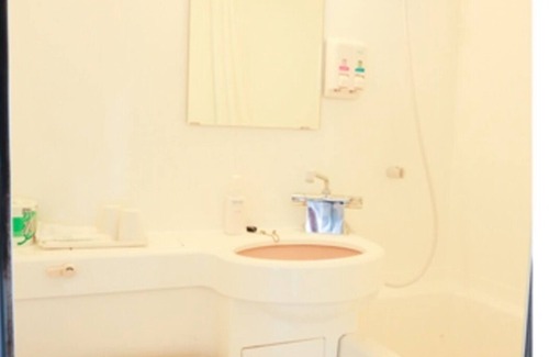 Asakusa Hotel | Room without meals Standard plan Smoking Sem/Taito-ku Tokyo