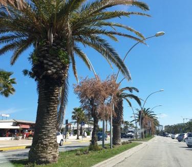 Civitanova Marche Apartment | Rooms Suite Silvy