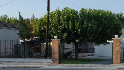 Ano Rodonia House | Roots House Pozar