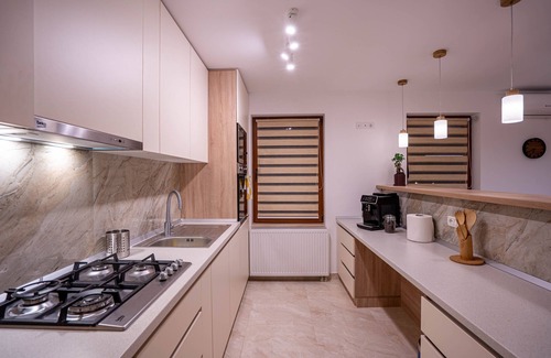 Brasov Villa | Roots Villa | Sequoia