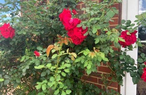 Iden House | Rose Cottage