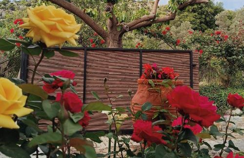 Kamariotis House | Rose hedge