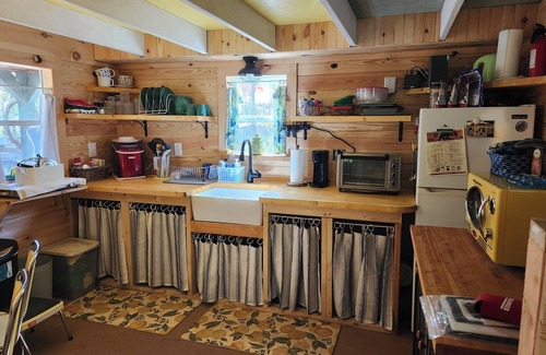 Cleveland Cabin | Rose's Cabin - A Rustic Pet-Friendly Cabin In The Woods