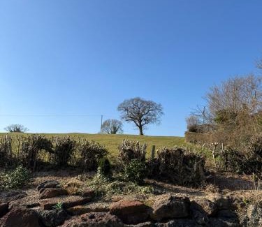 Winford House | Rosemary House BRS Airport Accommodation