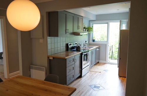 Parc Molson Apartment | ROSEMONT: Nice accommodation close to the Molson Park!