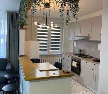 Birzai Apartment | ROTUŠĖS g 23 APARTMENTS IN THE CITY CENTER BIRŽAI