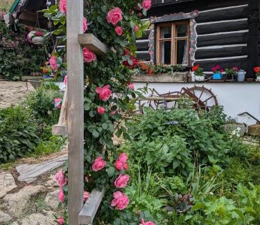 Zdikov House | Roubenka na Šumavě