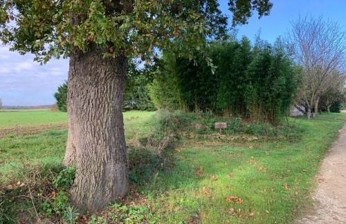Mirepoix Other | Roulotte et Nature