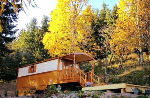 Freland House | Roulotte sur les Nuages en Alsace