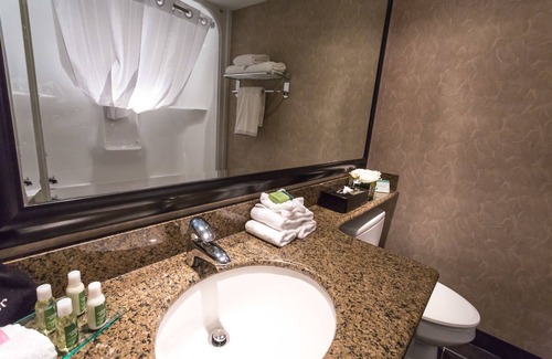 Leduc Hotel | Royal Hotel Edmonton Airport, Trademark Collection by Wyndham
