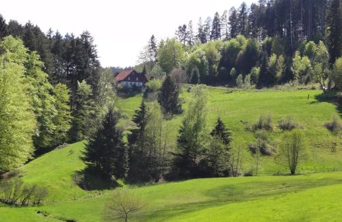 Biederbach House | ruhiges Wohnen am Lama und Maine Coon Hof in Alleinlage in Biederbach 3 Zimmer mit Kochgelegenheit Bad