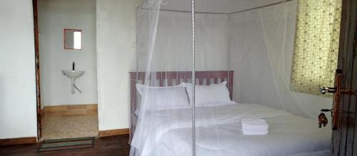Luhizha House | Ruhija Gorilla Guest House