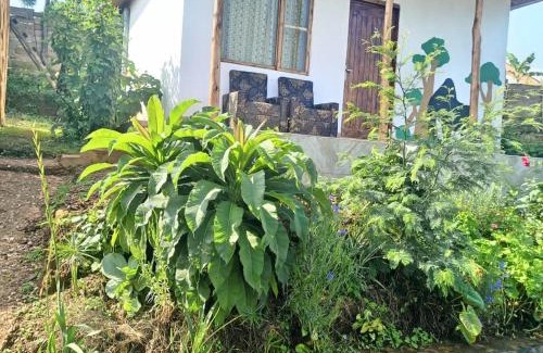 Luhizha House | Ruhija Gorilla Guest House