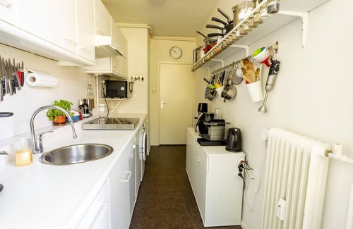Segbroek Apartment | Ruim Appartement met Garage en Uitzicht Over de Haagse Beek en Plantsoenen