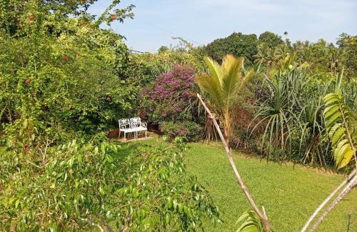 Bandaragama Villa | Rukgaha Thotupola Nature Villa at Bolgoda