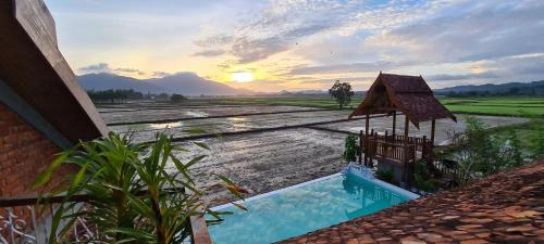Kampung Lubok Setol Villa | Rumah Bendang Langkawi Villa Pool