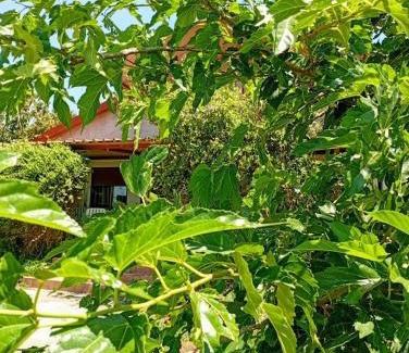 Pamvotida Apartment | Rural hοuse