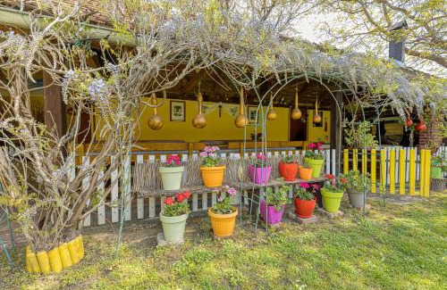 Velika House | Rural Homestead Trenkovo - Happy Rentals