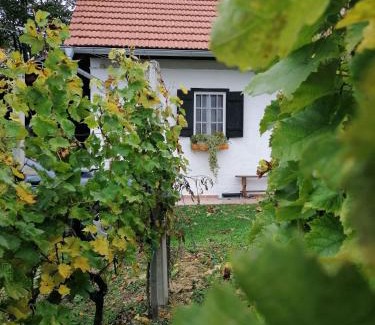 Donja Voca House | Rural house above the forest