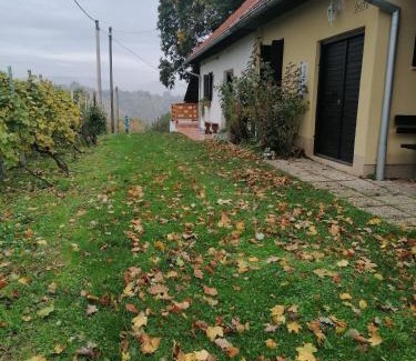 Donja Voca House | Rural house above the forest