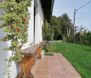Donja Voca House | Rural house above the forest