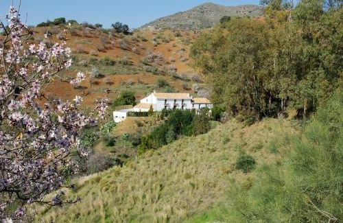 Ciudad Jardin House | Rural Montes Málaga: Cortijo La Palma