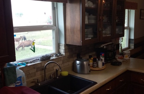 Dublin Bed & Breakfast | Rural Oasis - Cowboy's Private Room & Private Bathroom