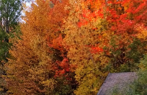 Whitingham House | Rustic 1850s barn, updated & funky, ideal for exploring Southern VT/Western MA .