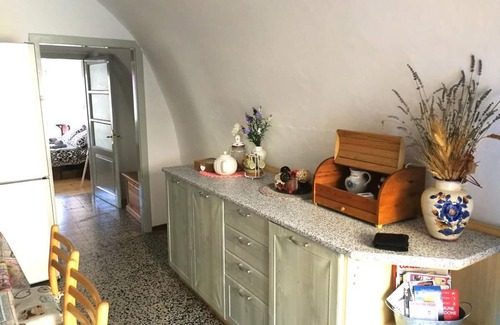Darzo Apartment | Rustic Apartment in Storo
