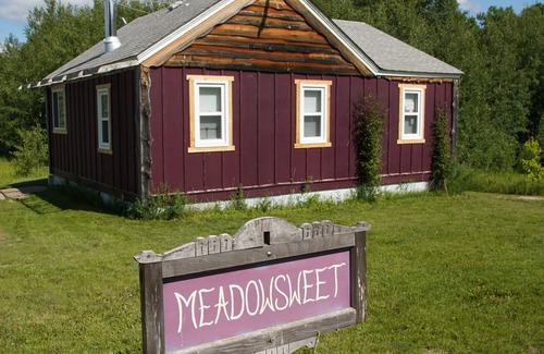 Manitoba Cottage | Rustic cabin near RMNP with screened-in deck, meadow view, and wood stove