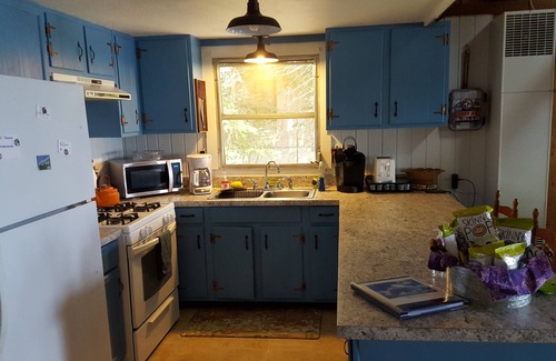 Cheboygan Cabin | Rustic Cedar Log Cabin on Beautiful Mullett Lake.