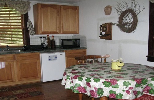 Luray Cabin | Rustic River Cabin, Charming Riverfront, Hottub, 2 Stone Fireplaces, Dock, Views