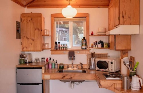 Lowell Point Cabin | Rustic Roots Seaside Blush Cabin (ADA)