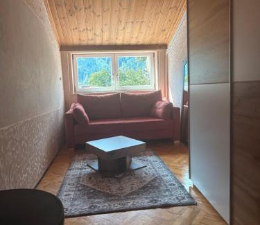 Globasnitz Apartment | Rustica apartmens