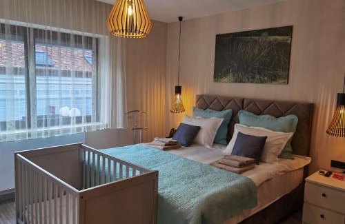 Pozega Apartment | Rustica Nocte Boutique Apartments