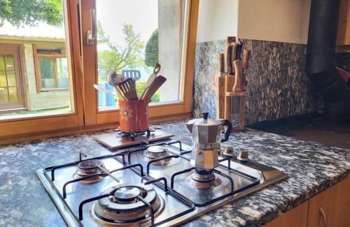 Ronco sopra Ascona House | Rustico Bellavista by Interhome