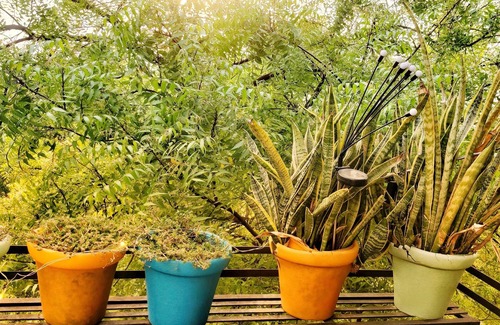 Hauz Khas Apartment | Rusty Roads, South Delhi, New Delhi, Terrace with Jacuzzi for Nature lovers