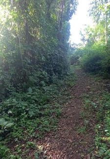 Buwekula Other | Rwekyapa Agro eco-tourism and learning center