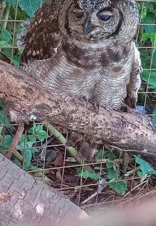 Buwekula Other | Rwekyapa Agro eco-tourism and learning center
